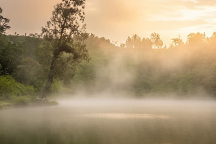 Discovr Misty and Serene Morning at Ranu Regulo East Java