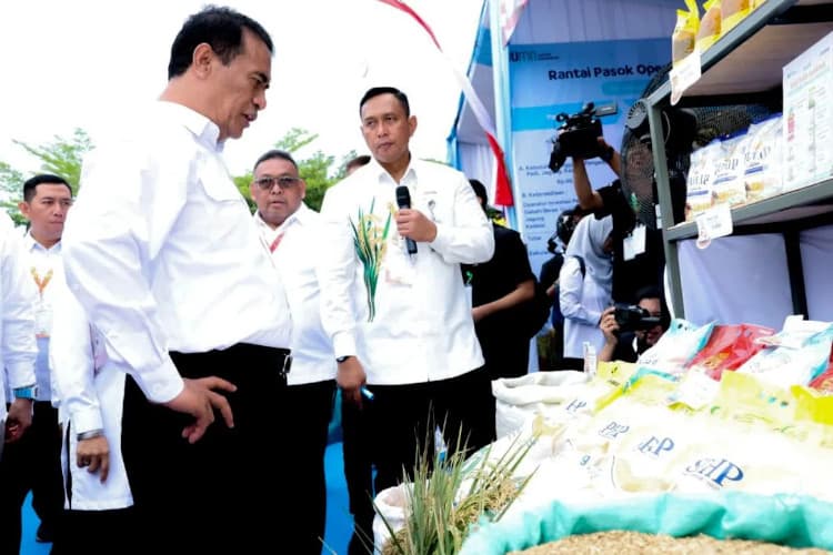 Rekor Melesat, Bulog Serap 4,5 Juta Ton Gabah Tertinggi Sepanjang Sejarah